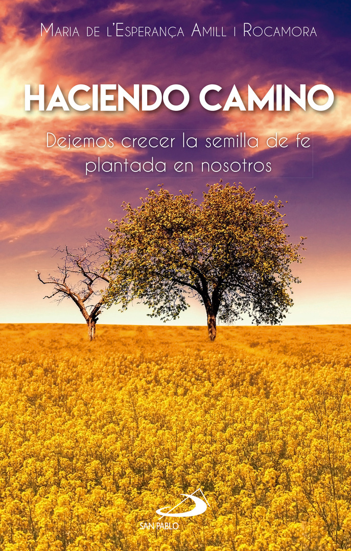 Haciendo camino